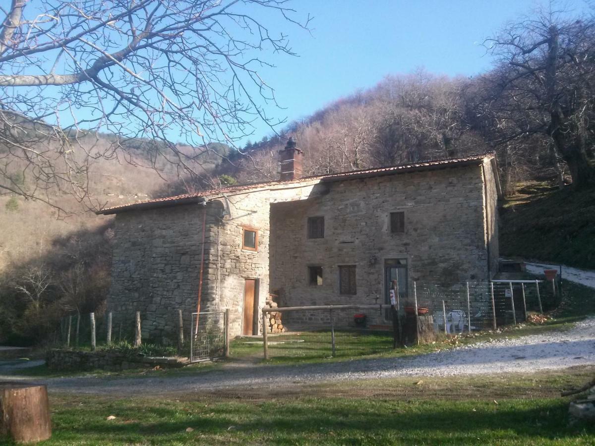 Mimmo'S Holiday House San Godenzo Exterior foto